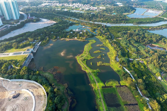 Hong Kong Wetland Park
